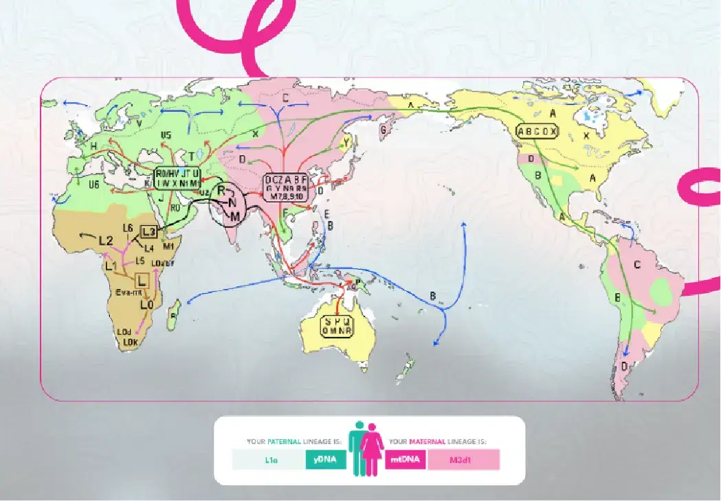 Ancestral Migration Haplogroups Map